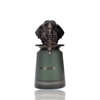 Fragrance World Thunder EDP M 100ml Boxed